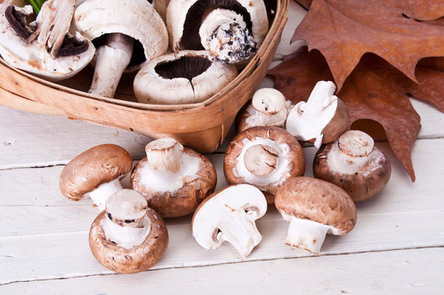 什锦蘑菇怎么做_什锦蘑菇的做法_豆果美食